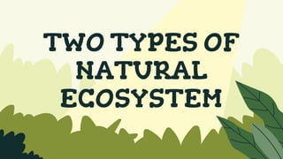 TWO TYPES OF
NATURAL
ECOSYSTEM
 