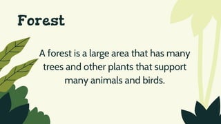 Forest
A forest is a large area that has many
trees and other plants that support
many animals and birds.
 