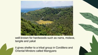 well-known for hardwoods such as narra, molave,
tangile and yakal
it gives shelter to a tribal group in Cordillera and
Oriental Mindoro called Mangyans
 