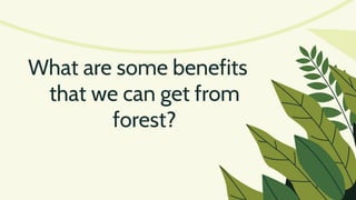 What are some benefits
that we can get from
forest?
 