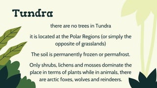 Tundra
there are no trees in Tundra
it is located at the Polar Regions (or simply the
opposite of grasslands)
The soil is permanently frozen or permafrost.
Only shrubs, lichens and mosses dominate the
place in terms of plants while in animals, there
are arctic foxes, wolves and reindeers.
 