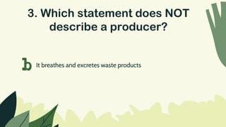 3. Which statement does NOT
describe a producer?
b It breathes and excretes waste products
 