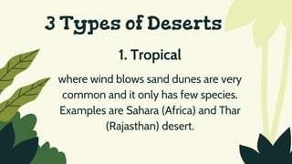 3 Types of Deserts
1. Tropical
where wind blows sand dunes are very
common and it only has few species.
Examples are Sahara (Africa) and Thar
(Rajasthan) desert.
 