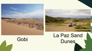 Gobi
La Paz Sand
Dunes
 