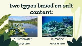 two types based on salt
content:
a. Freshwater
ecosystem
b. marine
ecosystem
 