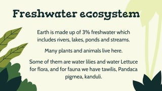Freshwater ecosystem
Earth is made up of 3% freshwater which
includes rivers, lakes, ponds and streams.
Many plants and animals live here.
Some of them are water lilies and water Lettuce
for flora, and for fauna we have tawilis, Pandaca
pigmea, kanduli.
 