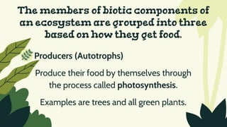 The members of biotic components of
an ecosystem are grouped into three
based on how they get food.
Producers (Autotrophs)
Produce their food by themselves through
the process called photosynthesis.
Examples are trees and all green plants.
 