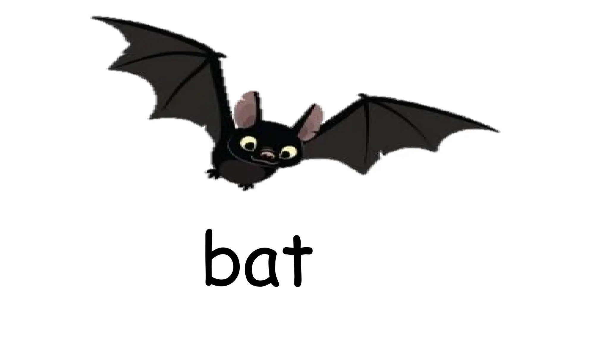 bat