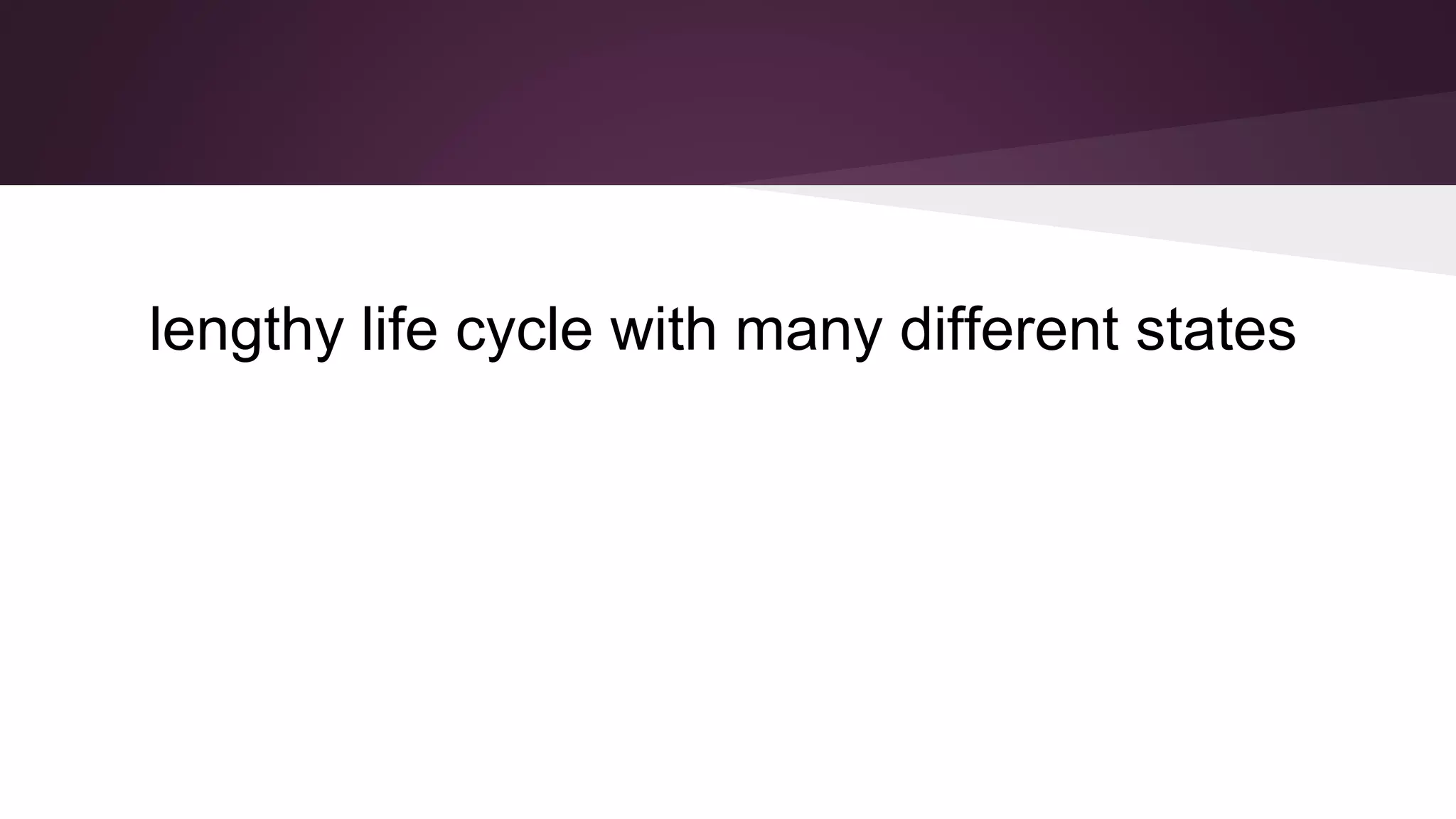 lengthy life cycle with many different states
 