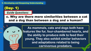 c. Why are there more similarities between a cat
and a dog than between a dog and a human?
Guide Questions:
(Day- 1)
As mammals, cats and dogs both have
features like fur, four-chambered hearts, and
the ability to produce milk to feed their
young. They also exhibit similar behaviors
and adaptations related to being
carnivorous predators.
C. Developing and Deepening Understanding
 