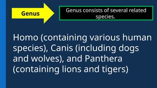 Genus consists of several related
species.
Genus
Homo (containing various human
species), Canis (including dogs
and wolves), and Panthera
(containing lions and tigers)
 