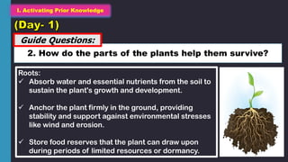 Q1_Science 8_Week2-Day 1 plant and function.pdf