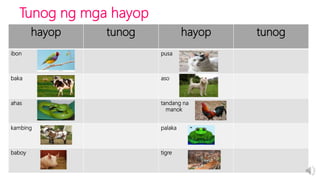 Tunog ng mga hayop
hayop tunog hayop tunog
ibon pusa
baka aso
ahas tandang na
manok
kambing palaka
baboy tigre
 