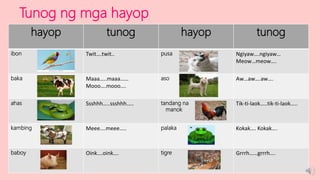 Tunog ng mga hayop
hayop tunog hayop tunog
ibon Twit….twit.. pusa Ngiyaw….ngiyaw…
Meow…meow….
baka Maaa…..maaa……
Mooo….mooo….
aso Aw…aw….aw….
ahas Ssshhh…..ssshhh….. tandang na
manok
Tik-ti-laok…..tik-ti-laok…..
kambing Meee….meee….. palaka Kokak…. Kokak….
baboy Oink….oink…. tigre Grrrh……grrrh….
 