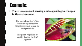 Digested Fly Q2.ELS12.lesson2-unifying themes.FSMpptx | PPTX