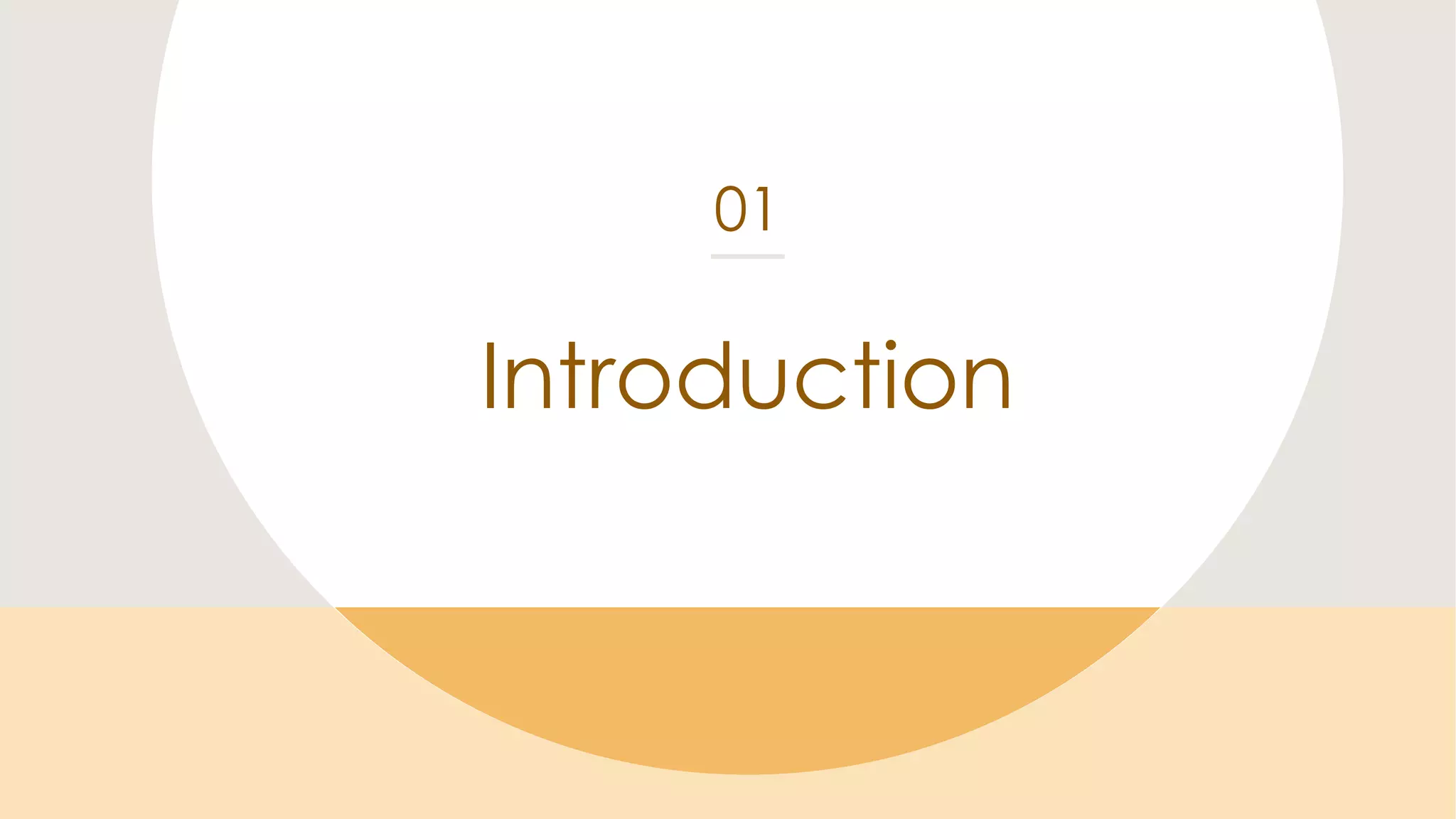 Introduction
01
 
