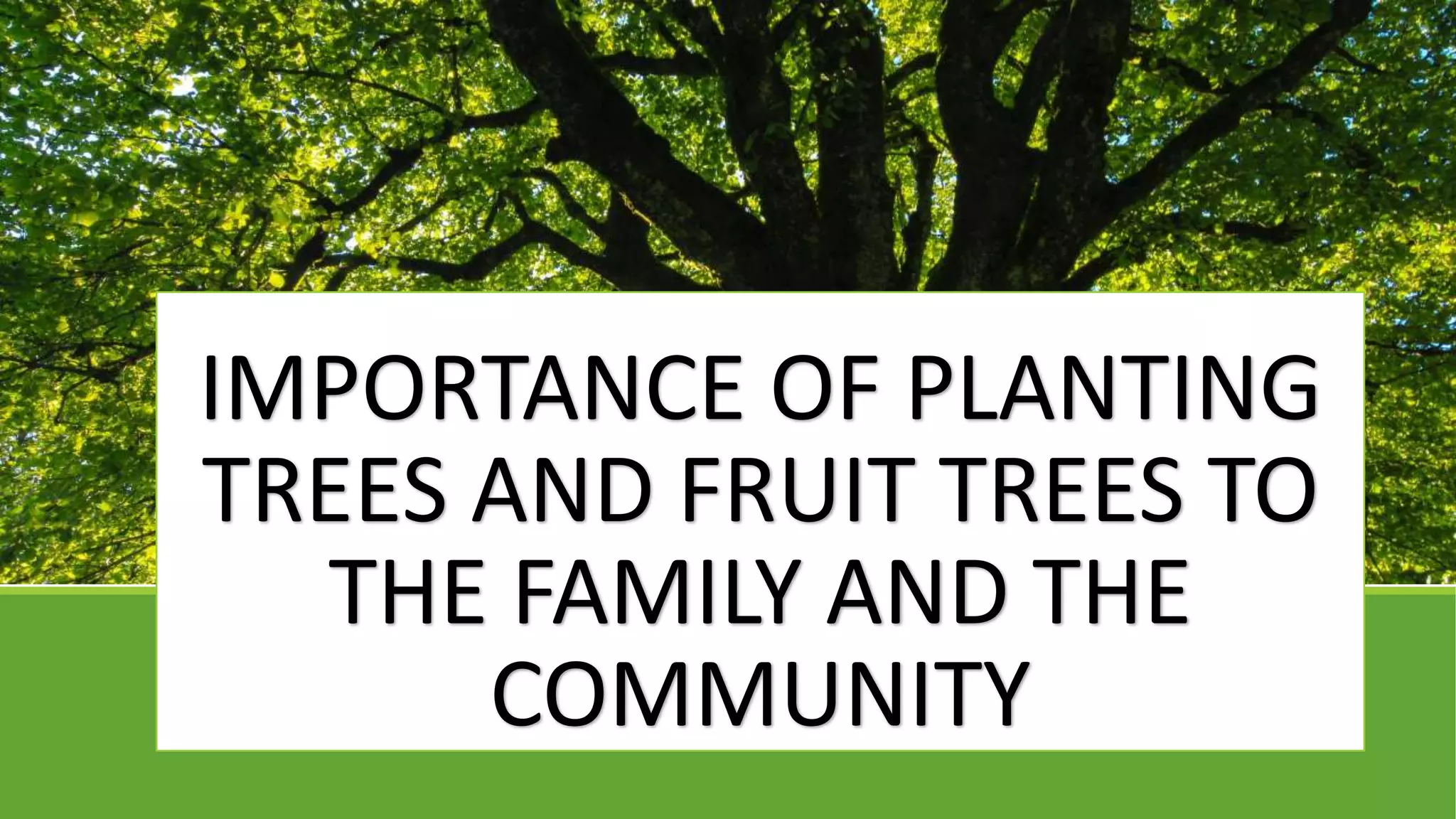 IMPORTANCE OF PLANTING
TREES AND FRUIT TREES TO
THE FAMILY AND THE
COMMUNITY
 