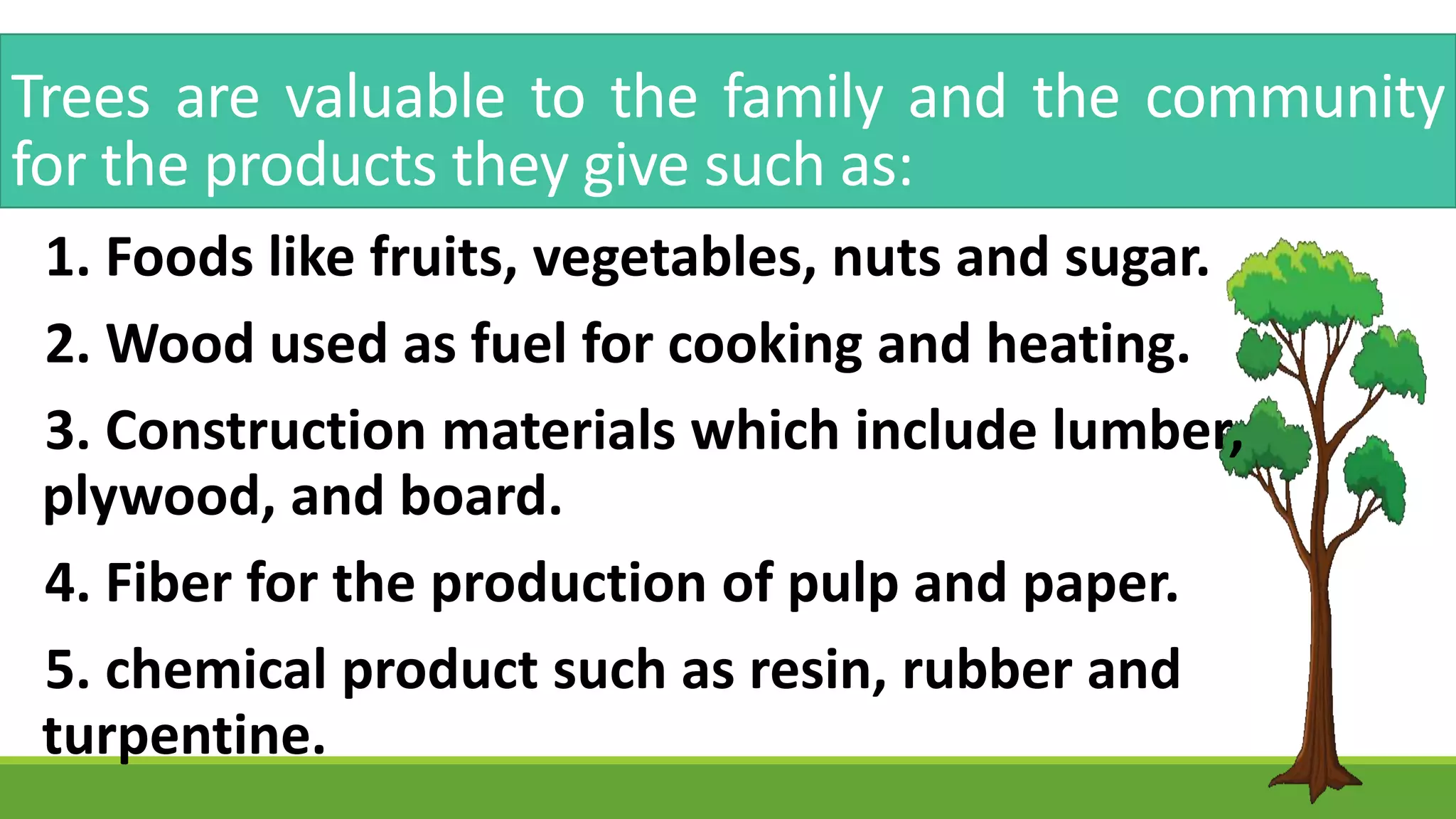 Trees are valuable to the family and the community
for the products they give such as:
1. Foods like fruits, vegetables, nuts and sugar.
2. Wood used as fuel for cooking and heating.
3. Construction materials which include lumber,
plywood, and board.
4. Fiber for the production of pulp and paper.
5. chemical product such as resin, rubber and
turpentine.
 