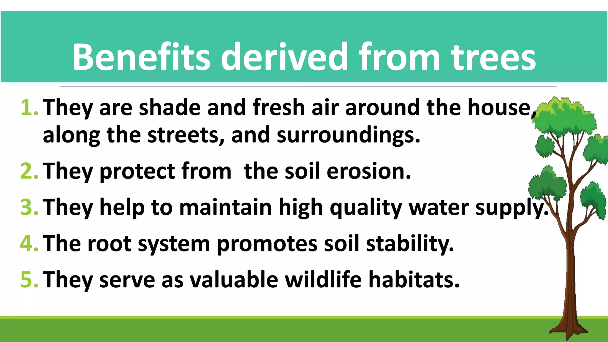 1.They are shade and fresh air around the house,
along the streets, and surroundings.
2.They protect from the soil erosion.
3.They help to maintain high quality water supply.
4.The root system promotes soil stability.
5.They serve as valuable wildlife habitats.
Benefits derived from trees
 