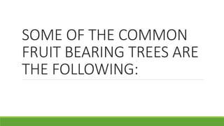 SOME OF THE COMMON
FRUIT BEARING TREES ARE
THE FOLLOWING:
 