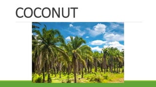 COCONUT
 