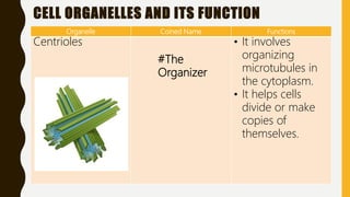 Q2 l4-cell parts and its function | PPTX