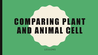 COMPARING PLANT
AND ANIMAL CELL
L E S S O N 5
 