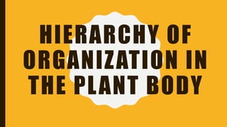 HIERARCHY OF
ORGANIZATION IN
THE PLANT BODY
 