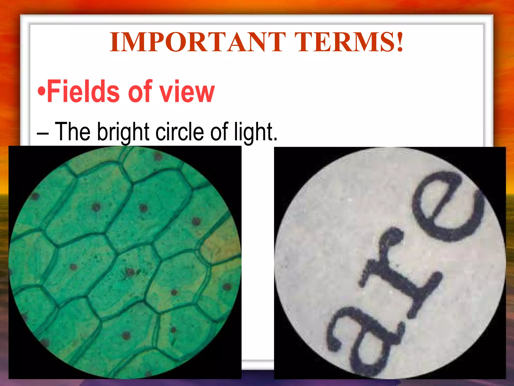 •Fields of view
– The bright circle of light.
IMPORTANT TERMS!
 