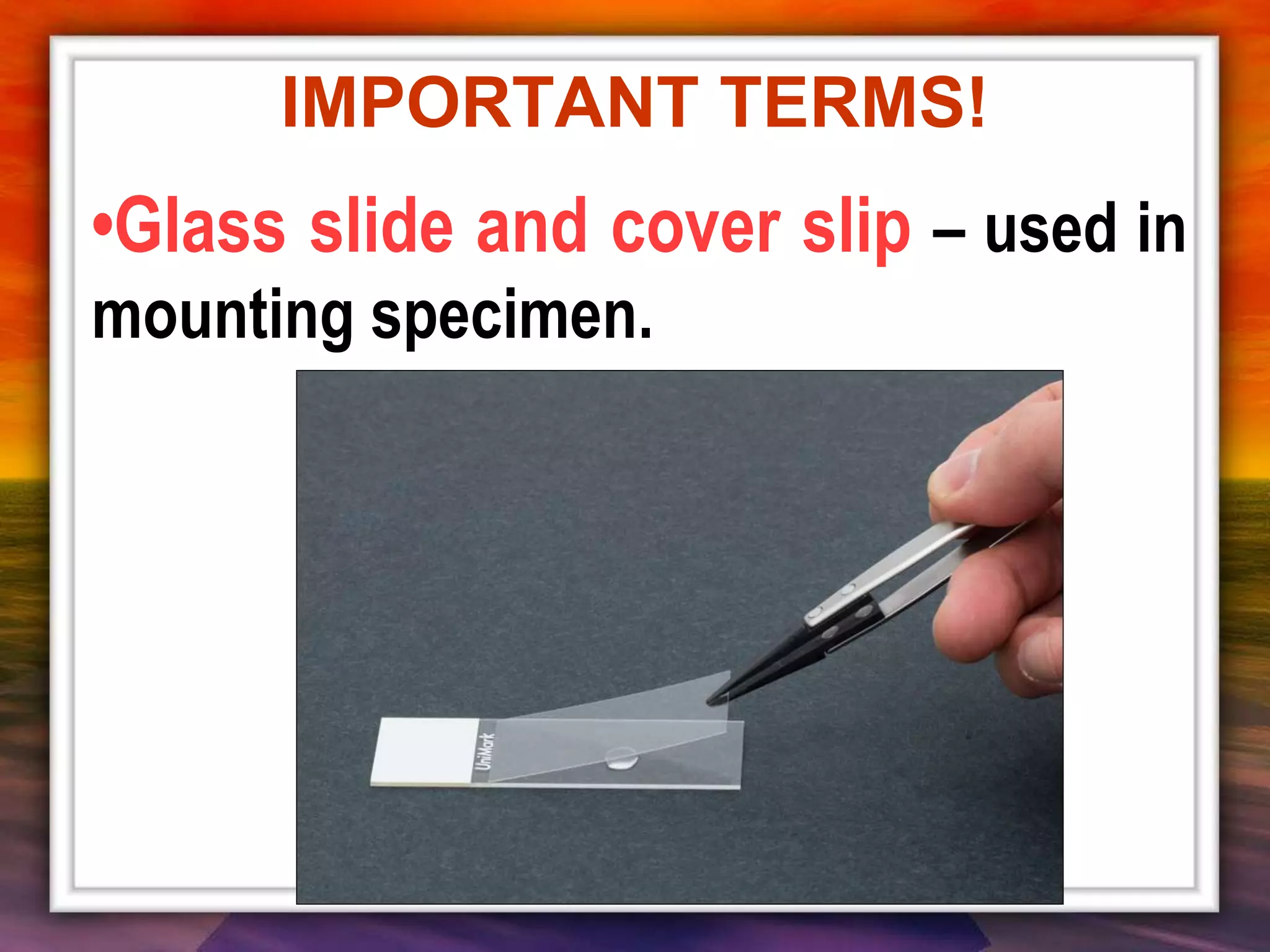 •Glass slide and cover slip – used in
mounting specimen.
IMPORTANT TERMS!
 
