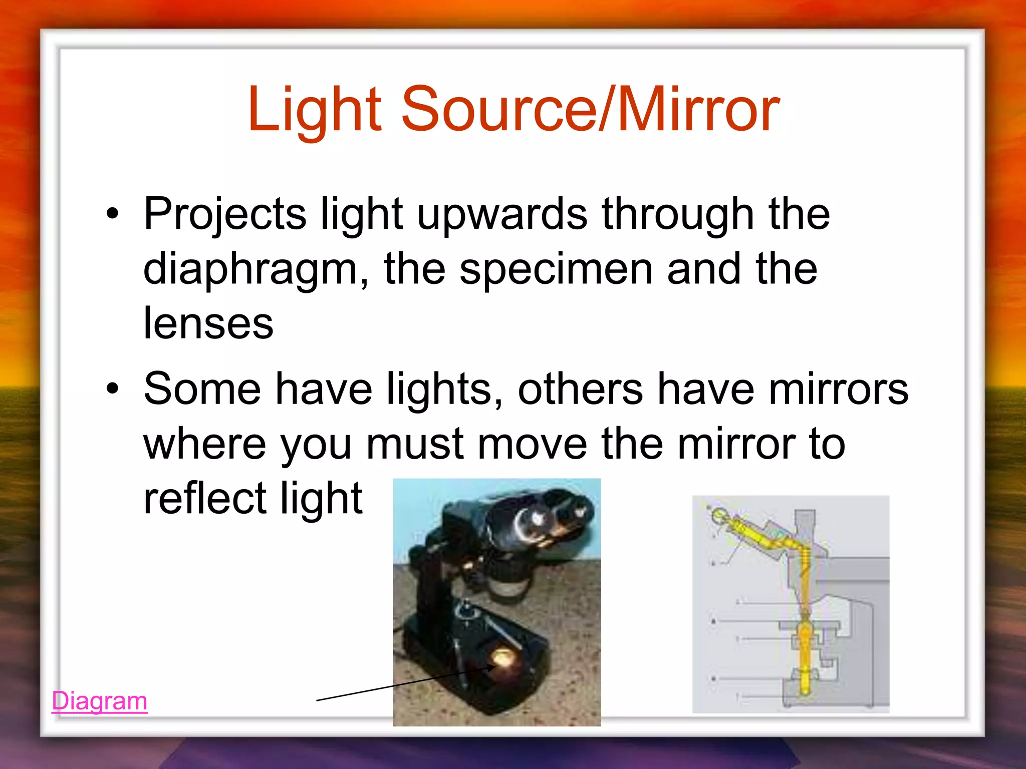 Light Source/Mirror
• Projects light upwards through the
diaphragm, the specimen and the
lenses
• Some have lights, others have mirrors
where you must move the mirror to
reflect light
Diagram
 
