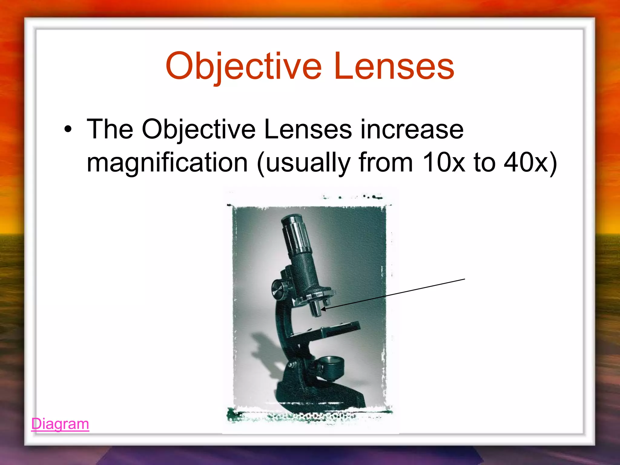 Objective Lenses
• The Objective Lenses increase
magnification (usually from 10x to 40x)
Diagram
 