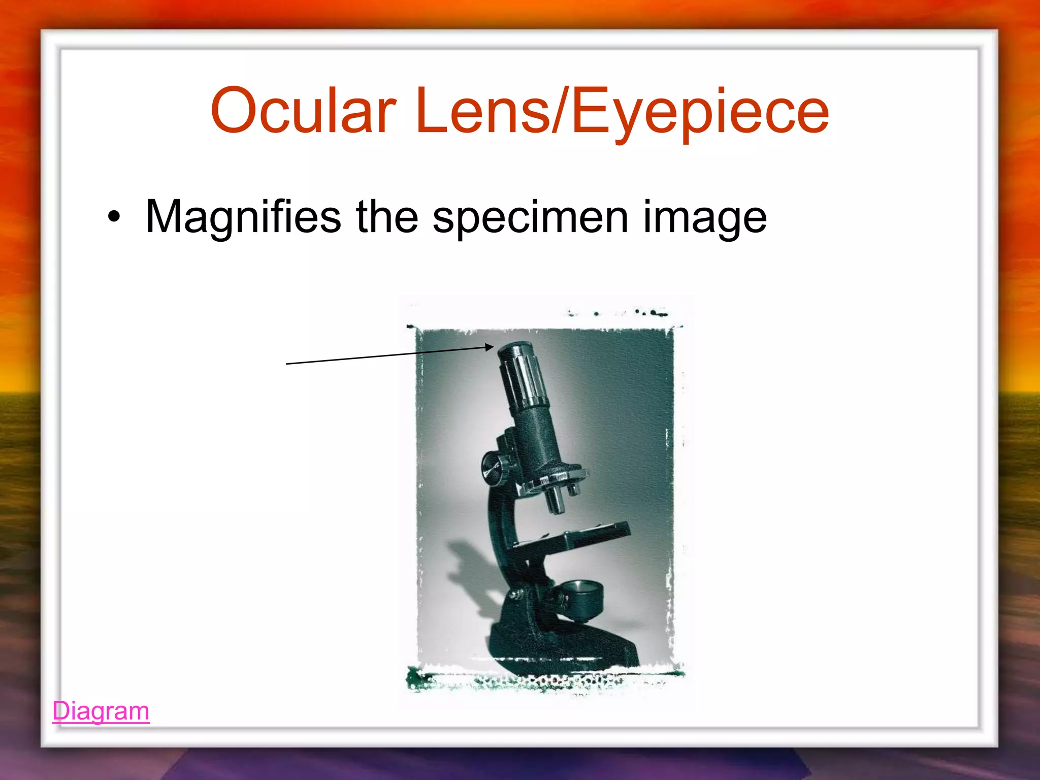 Ocular Lens/Eyepiece
• Magnifies the specimen image
Diagram
 