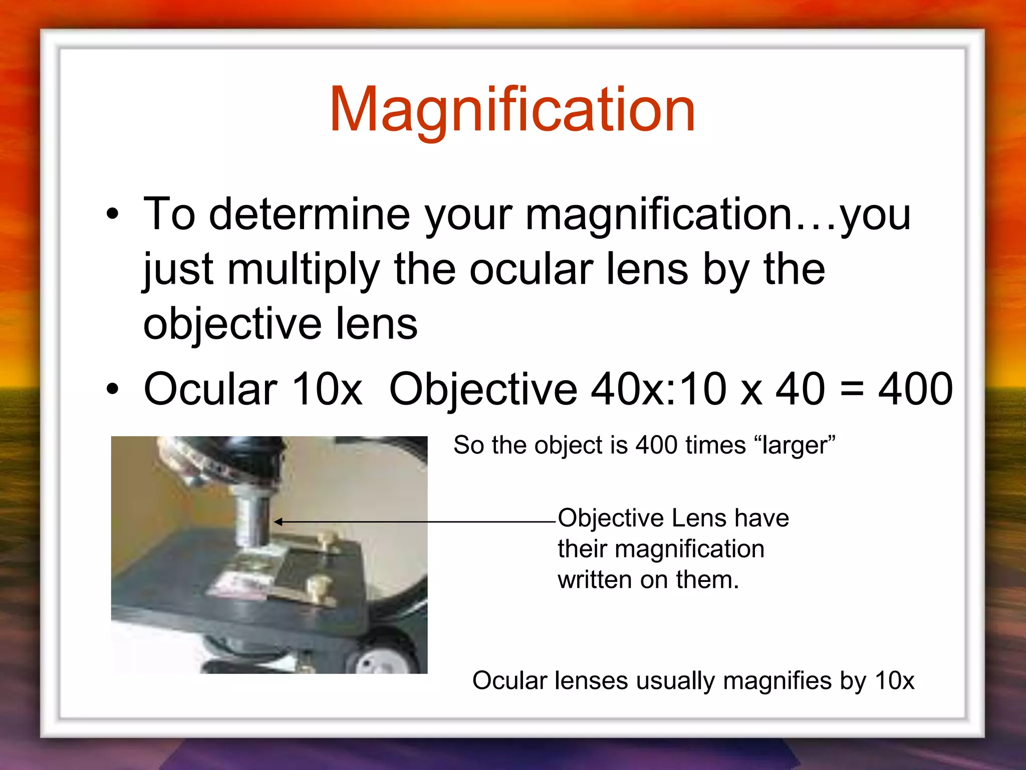 Magnification
• To determine your magnification…you
just multiply the ocular lens by the
objective lens
• Ocular 10x Objective 40x:10 x 40 = 400
Objective Lens have
their magnification
written on them.
Ocular lenses usually magnifies by 10x
So the object is 400 times “larger”
 