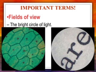 •Fields of view
– The bright circle of light.
IMPORTANT TERMS!
 