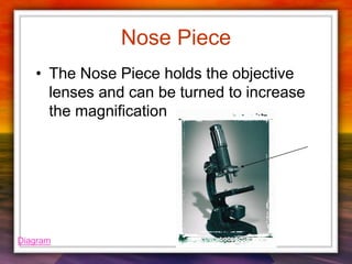 Nose Piece
• The Nose Piece holds the objective
lenses and can be turned to increase
the magnification
Diagram
 