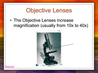 Objective Lenses
• The Objective Lenses increase
magnification (usually from 10x to 40x)
Diagram
 