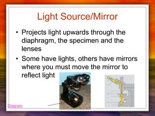 Light Source/Mirror
• Projects light upwards through the
diaphragm, the specimen and the
lenses
• Some have lights, others have mirrors
where you must move the mirror to
reflect light
Diagram
 