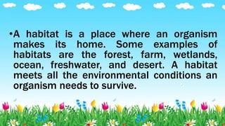 Q2-SCIENCE 4 COT 2024 LUCBAN ELEMENTARY SCHOOL | PPTX