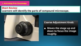 I. Activating Prior Knowledge
Short Review
Learners will identify the parts of compound microscope.
I. Activating Prior Knowledge
Coarse Adjustment Knob:
▪ Moves the stage up and
down to focus the image
roughly.
 