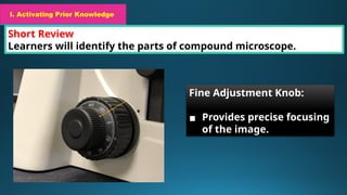 I. Activating Prior Knowledge
Short Review
Learners will identify the parts of compound microscope.
I. Activating Prior Knowledge
Fine Adjustment Knob:
▪ Provides precise focusing
of the image.
 