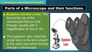 C. Developing and Deepening Understanding
▪ Eyepiece (Ocular Lens): The
lens at the top of the
microscope that you look
through, usually with a
magnification of 10x or 15x.
▪ The eyepiece, also called the
ocular lens, is the lens closest
to the user's eye when looking
through a microscope.
Parts of a Microscope and their functions
 