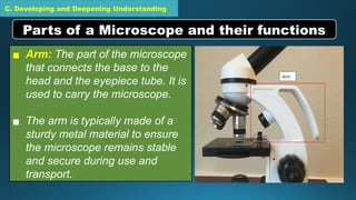 C. Developing and Deepening Understanding
▪ Arm: The part of the microscope
that connects the base to the
head and the eyepiece tube. It is
used to carry the microscope.
▪ The arm is typically made of a
sturdy metal material to ensure
the microscope remains stable
and secure during use and
transport.
Parts of a Microscope and their functions
 