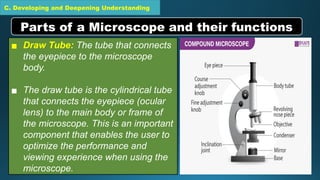 C. Developing and Deepening Understanding
▪ Draw Tube: The tube that connects
the eyepiece to the microscope
body.
▪ The draw tube is the cylindrical tube
that connects the eyepiece (ocular
lens) to the main body or frame of
the microscope. This is an important
component that enables the user to
optimize the performance and
viewing experience when using the
microscope.
Parts of a Microscope and their functions
 