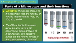 C. Developing and Deepening Understanding
▪ Objective: The lenses closest to
the specimen, that are typically of
varying magnifications (e.g., 4x,
10x, 40x, 100x).
▪ The different objective lenses
allow the user to view the
specimen at different levels of
magnification. The objective
lenses are the lenses closest to
the specimen being observed.
Parts of a Microscope and their functions
 