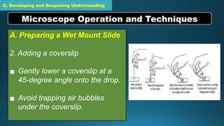 C. Developing and Deepening Understanding
A. Preparing a Wet Mount Slide
2. Adding a coverslip
▪ Gently lower a coverslip at a
45-degree angle onto the drop.
▪ Avoid trapping air bubbles
under the coverslip.
Microscope Operation and Techniques
 