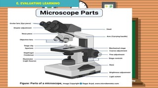 E. EVALUATING LEARNING
E. EVALUATING LEARNING
E. EVALUATING LEARNING
 