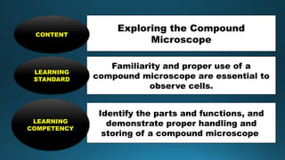 Exploring the Compound
Microscope
CONTENT
Familiarity and proper use of a
compound microscope are essential to
observe cells.
LEARNING
STANDARD
Identify the parts and functions, and
demonstrate proper handling and
storing of a compound microscope
LEARNING
COMPETENCY
 