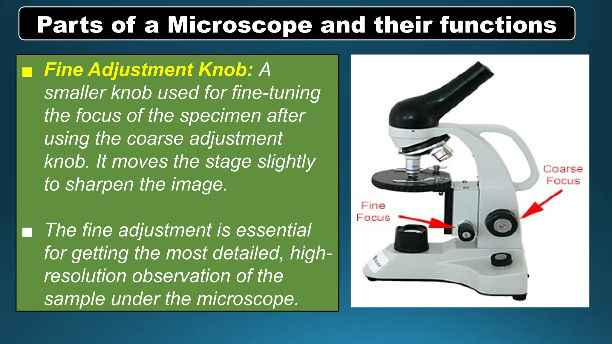 Q2-SCIENCE 7-LC1 .pptx