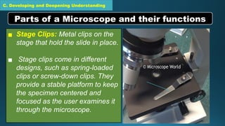 C. Developing and Deepening Understanding
▪ Stage Clips: Metal clips on the
stage that hold the slide in place.
▪ Stage clips come in different
designs, such as spring-loaded
clips or screw-down clips. They
provide a stable platform to keep
the specimen centered and
focused as the user examines it
through the microscope.
Parts of a Microscope and their functions
 